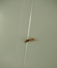 �칫������һ������֮�ͣ���λ���������ʲô