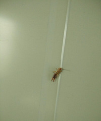 �칫������һ������֮�ͣ���λ���������ʲô