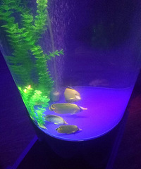 ���������¥��ú���ݿ�ҵ