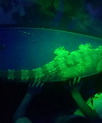 ���������¥��ú���ݿ�ҵ