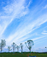 上午还是雨天,下午回家时却是这样蔚蓝
