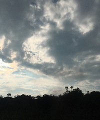 上午还是雨天,下午回家时却是这样蔚蓝
