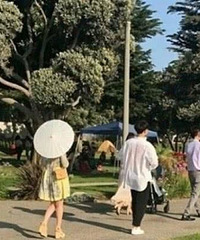 双宋现身出席友人婚礼,就像在拍摄写真一样