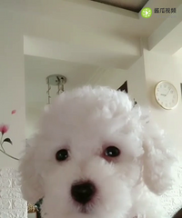 ����������̩���������¼�