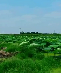 �����а��� ������ӳ��