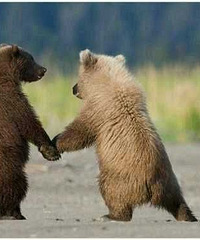 ������ô��