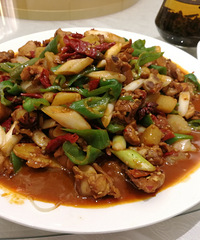 行摄新疆十三天(全篇完)