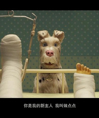 图解电影《犬之岛》你们是猫派还是狗派?!