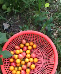 ����ͷ����һ��������û