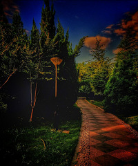 Ϧ�����޺�