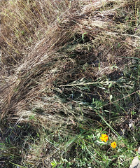 �����µ����ѡ���