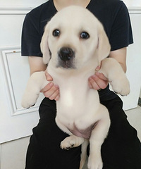 ����������������