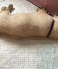 ����������һ�ѣ���ɫ�ÿ����й���ĸ