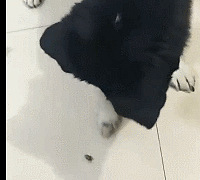 嘿嘿!小虫子起来我们一起玩呀