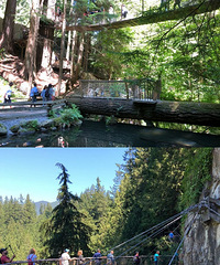 СС����һֻ