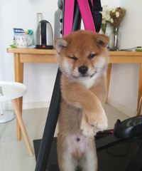 ��Ȯ����