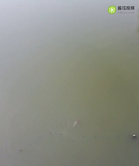 �շ�һ���С��ͷ��������