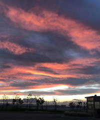 ûʲô��ɹ�ģ���ɹɹϦ����