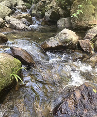 城市很热 感觉来山里避暑吧