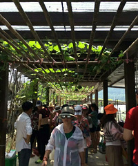 一起去西天目避暑,游山玩水,采摘瓜果