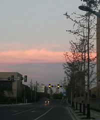 ��ϼ������