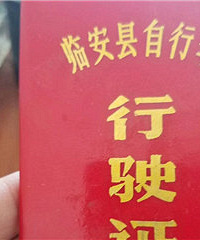 ɹһ���ϵ��ӵĶ���