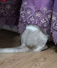 ����һ��