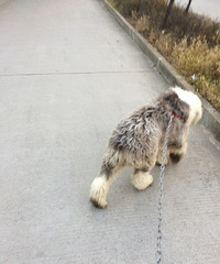 �����Ұ���