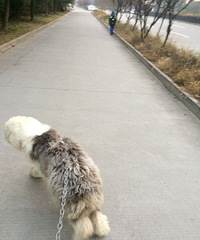 �����Ұ���