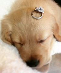 �ְ��ֽ�����ΰѻ�������ĵĸ��бƸ�~ϸ�ں���Ŷ��