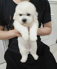 ������ɫ���ܼ۸����