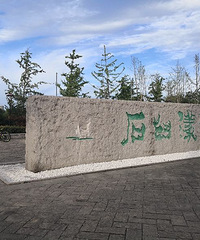 ��ʵ�����������������ͦ������