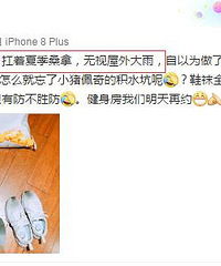 张含韵发微博晒自己一天的饭量,网友看了顿时不淡定