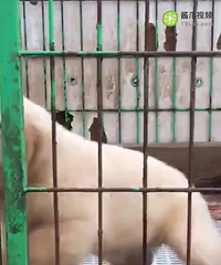 ����ֻ���˴�����������