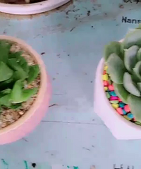 ��Ȼ��֪����ʲô���֣����ǿ������������