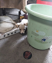 һ���²�����С�̹��������