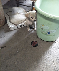 һ���²�����С�̹��������