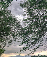 ����-�ú�԰