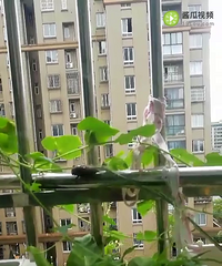 �ҵķ����³�