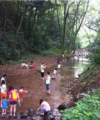 ��������������ЩϷˮ�ĵط���