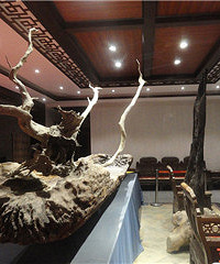 �ѵ�һ����5000���˿�ľ���䴬