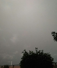 �����������·�