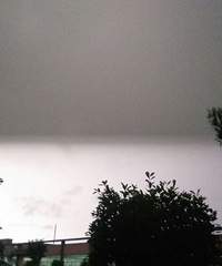 �����������·�