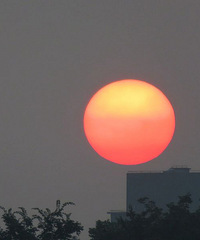 站在城东桥上,望着红太阳渐渐升起