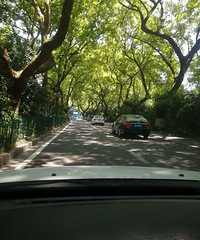 ѧ����Ӧ ������2018