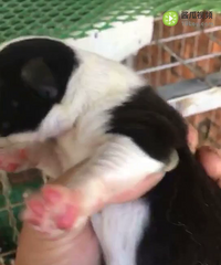 18����С��һ��