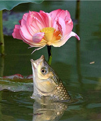 ���Ϸ�����������գ�