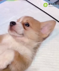 ��ͨ�ƻ��ܵ�