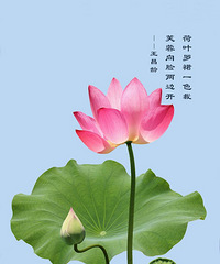 �ഺ��һ��̫�ִٵ��飬���Ǻ����ᣬһ����