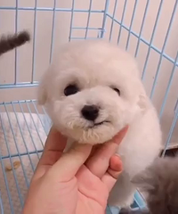 ��Ʒ�׹�ܵ� 888